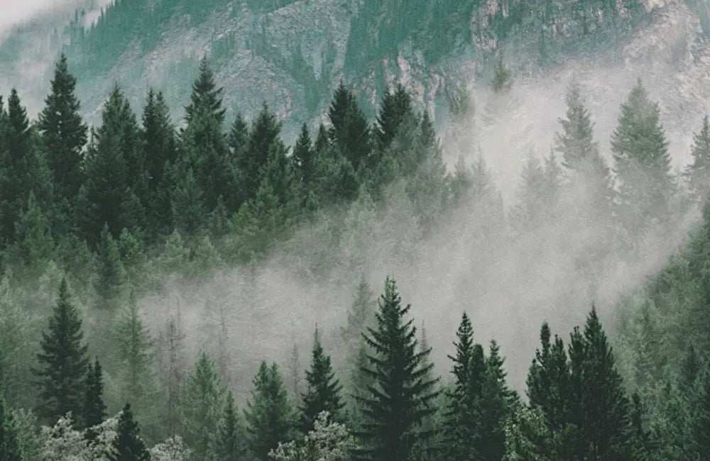 Did you know that the underwear you wear can help the Earth?