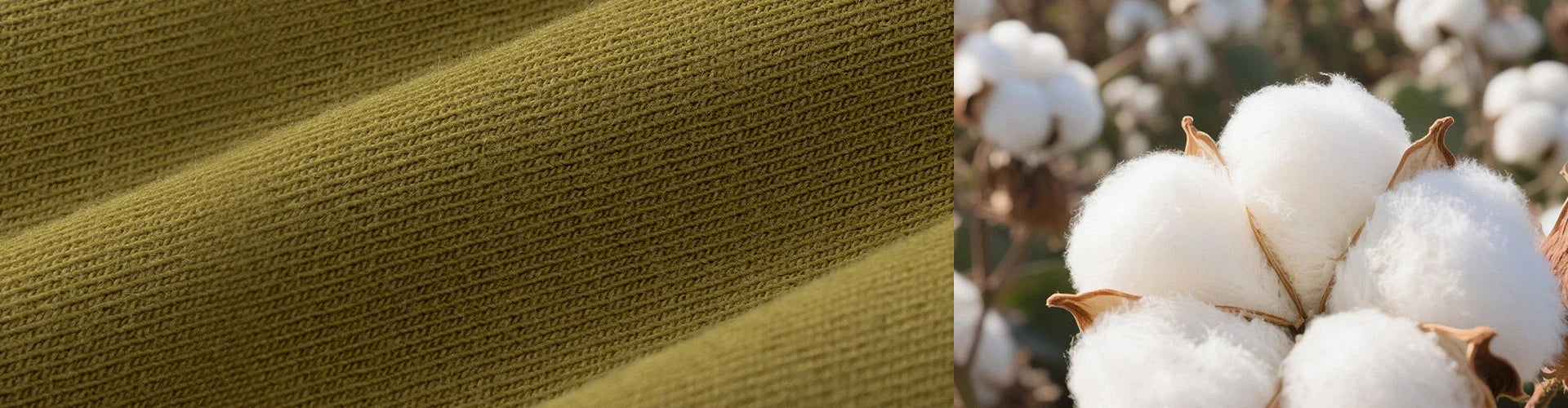 Cotton